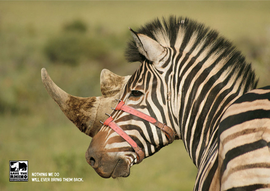 Campagna animalista