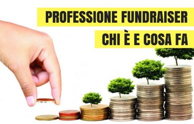 PROFESSIONE-FUNDRAISER