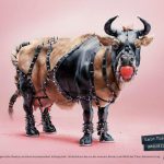 Foundation Tier im Recht - 3D Animals 1bull