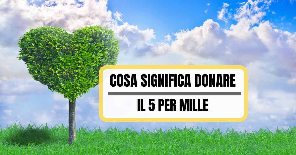 Cosa significa donare il 5 per mille - Passione Non Profit